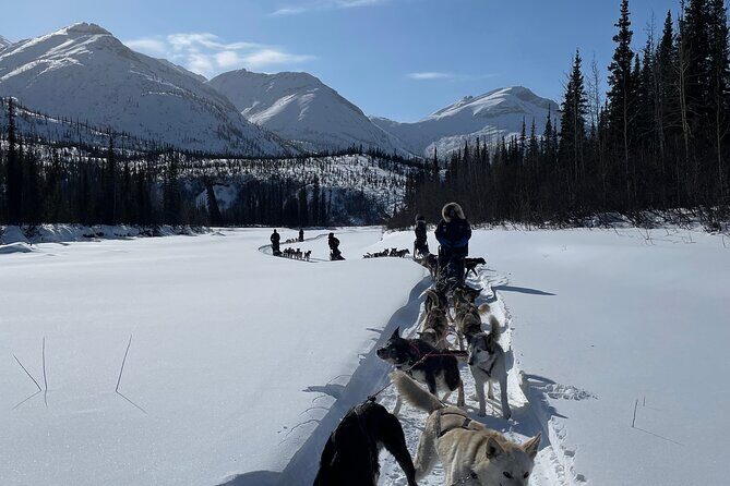 6 Days Brooks Range Expedition Private Tour - What to Expect: A Day-by-Day Breakdown