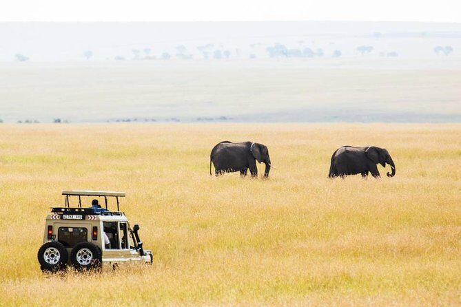 6 Days Budget Tanzania Camping Safari - Practical Details and Considerations