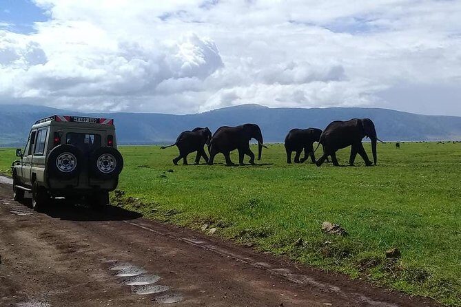 6 Days Budget Tanzania Camping Safari - FAQs