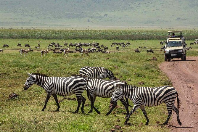 6 Days Budget Tanzania Camping Safari - Final Thoughts