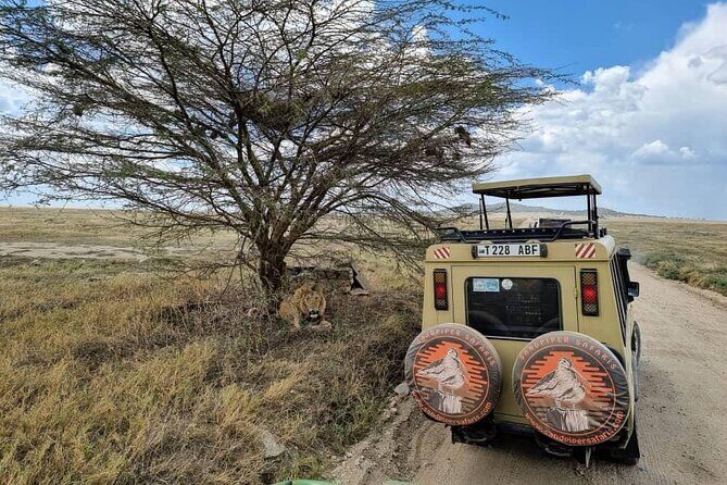 6 Days Budget Tour in Tarangire, Serengeti ,Ngorongoro and Manyara - Exploring the 6 Days Budget Safari in Tarangire, Serengeti, Ngorongoro, and Manyara