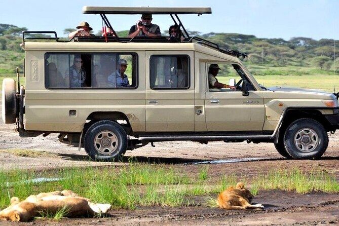 6 Days Budget Tour in Tarangire, Serengeti ,Ngorongoro and Manyara - What We Loved About This Safari