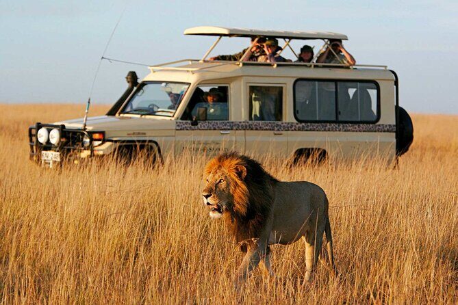 6 Days Budget Tour in Tarangire, Serengeti ,Ngorongoro and Manyara - Authenticity and Reliability