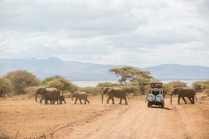 6 Days Budget Tour in Tarangire, Serengeti ,Ngorongoro and Manyara - Who Is This Tour Best For?