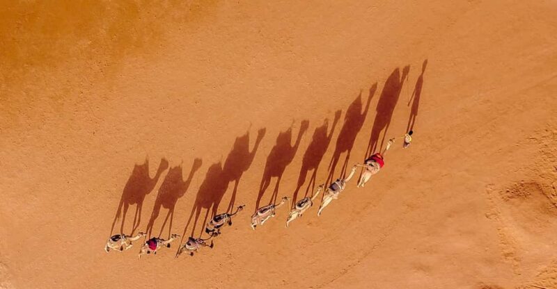 6-Days Casablanca to Marrakesh via Desert, Fez & Chefchaouen - Final Thoughts: Who Is This Tour Perfect For?