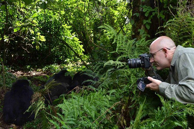 6 Days Chimps, Gorillas & Murchison Falls Africa's Big Five Experience Safari - Who Will Love This Safari?