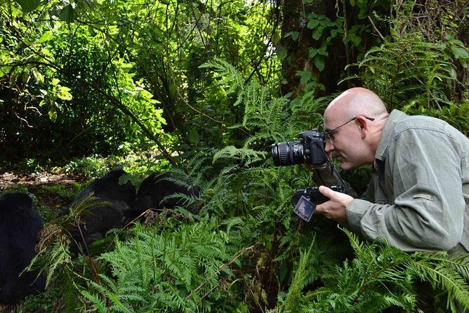 6 Days Chimps, Gorillas & Murchison Falls Africa's Big Five Experience Safari - Final Words