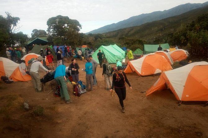 6 Days Climb Kilimanjaro Through Marangu Route - Overview of the Itinerary