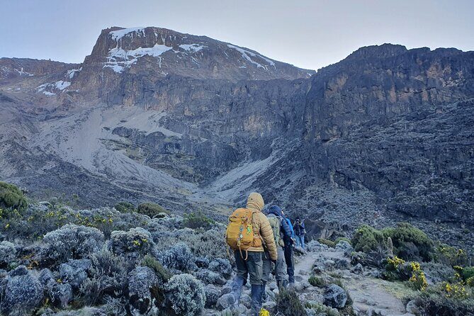 6 Days Climbing Mount Kilimanjaro Machame Route - Introduction: What to Expect from the Kilimanjaro Machame Route Tour