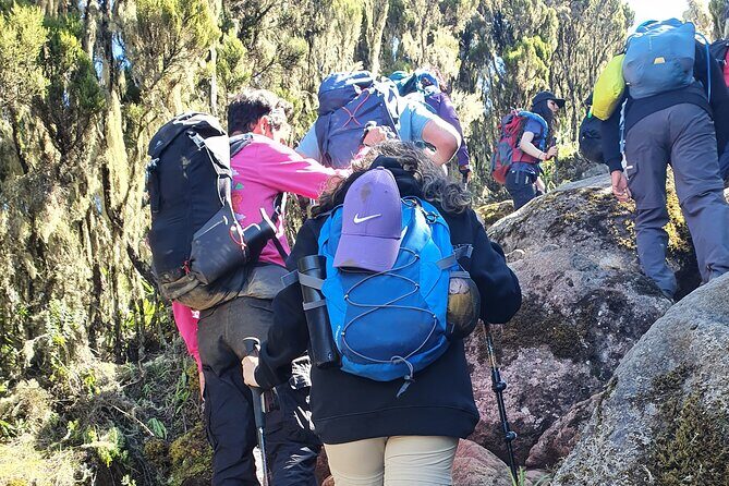 6 Days Climbing Mount Kilimanjaro Machame Route - Final Thoughts