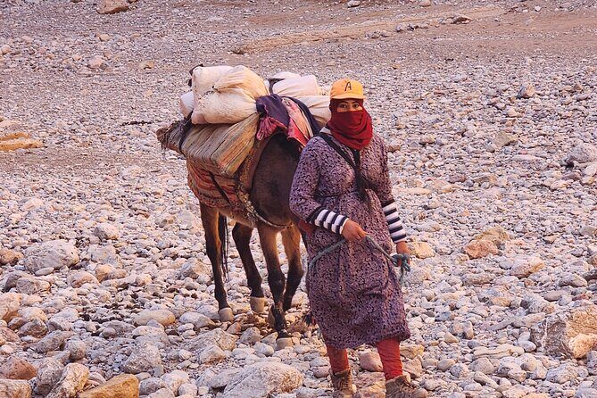 6 Days Desert Tour From Marrakech To Fes Via Merzouga Desert . - A Practical Breakdown of the Tour Experience