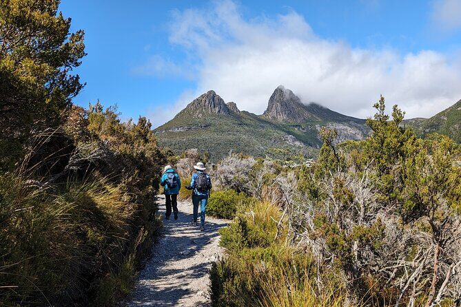 6-Days Discovery Tour of Tasmania - Comfort Style - What Do Travelers Say?