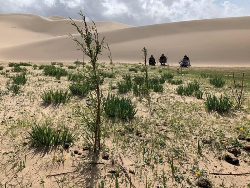6 Days Great Gobi tour-Amazing memory - Final Thoughts