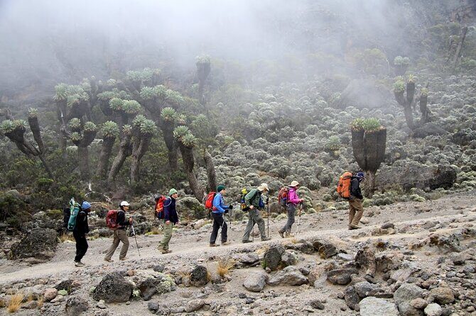 6 Days: Hiking Kilimanjaro via Machame Route - The Sum Up