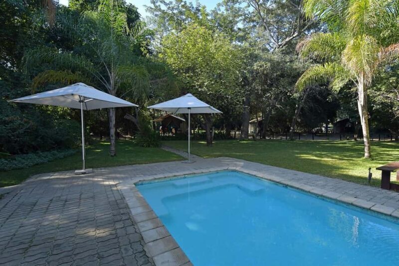 6 Days Idyllic Zambezi Fishing Safari at Mubala Camp - Final Thoughts on the Zambezi Safari