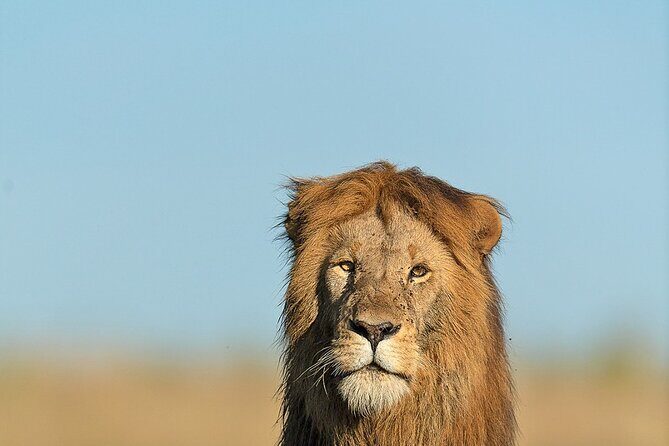6 Days Kenya Adventure Wildlife Safari - Value for Money & Overall Impression