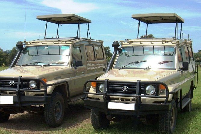 6 Days Kenya Allround Safari - Mombasa - A Deep Dive into the Experience