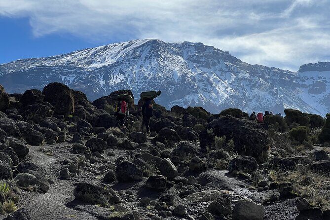 6 Days Kilimanjaro Climbing Marangu Route - What Makes the Marangu Route Unique?