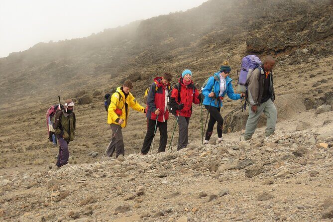6 Days Kilimanjaro Lemosho route Climbing and Hiking Tour - The Bottom Line