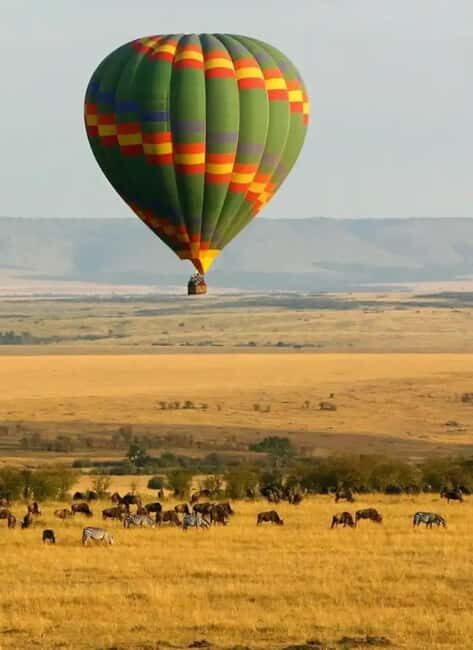 6 Days Lake and Bush Safari - Lake Naivasha and Masai Mara - Key Points