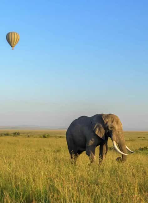 6 Days Lake and Bush Safari - Lake Naivasha and Masai Mara - An In-Depth Look at the 6-Day Safari Experience