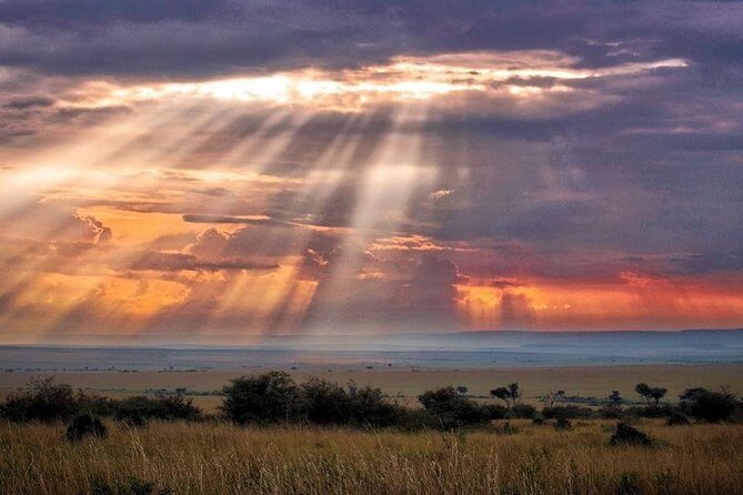 6 Days Maasai Mara/Nakuru/Amboseli Group Safari - Key Points
