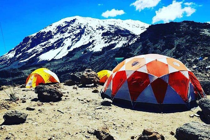 6 days Machame route climbing Mt.Kilimanjaro - Starting Strong: Day 1—Into the Rainforest