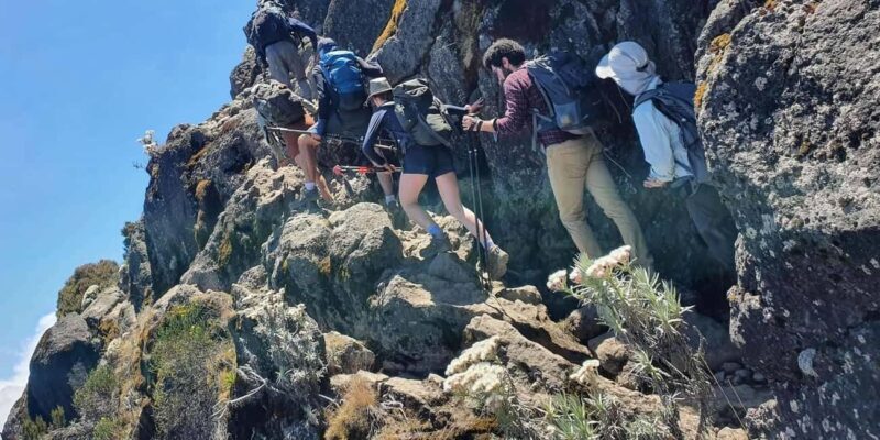 6 Days Marangu Route - Affordable Mount Kilimanjaro Climbing - Key Points
