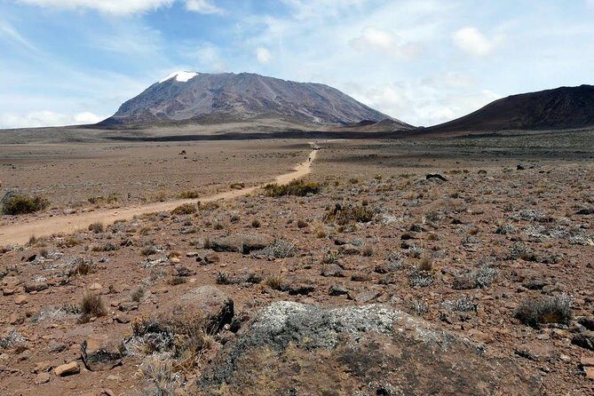 6 Days Marangu Route Kilimanjaro Trekking - Authentic Insights from Past Travelers