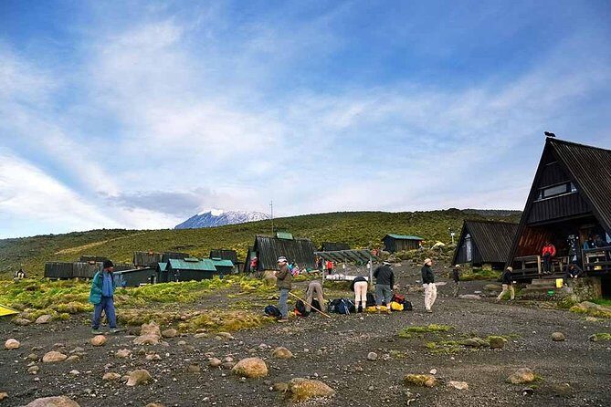 6 Days Marangu Route Trekking - Authentic Experiences From Other Travelers