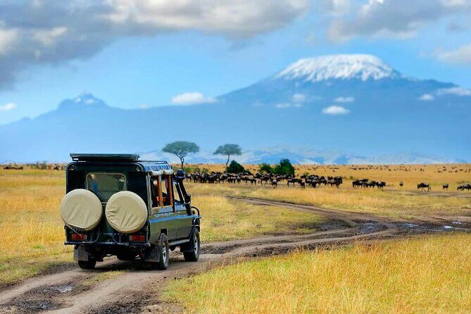 6 Days Masai Mara, Lake Nakuru and Amboseli Budget Group Safari - An In-Depth Look at the Tour Experience
