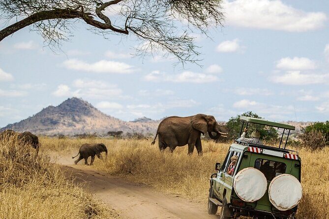 6 Days Masai Mara, Lake Nakuru and Amboseli Budget Group Safari - FAQs