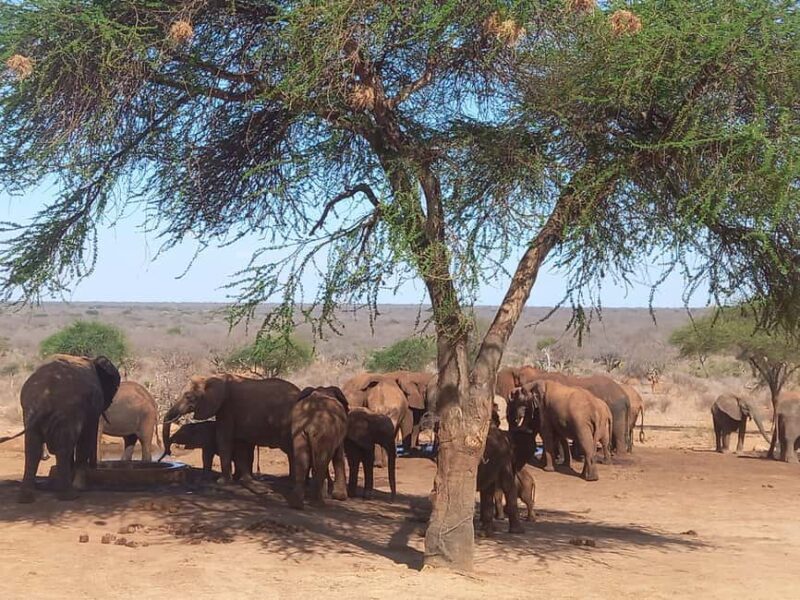 6 Days Masai Mara - Lake Nakuru & Samburu Safari. - Who Should Consider This Tour?