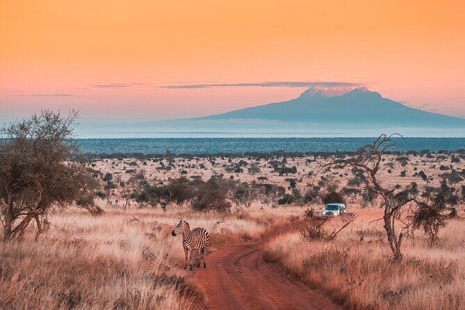 6 Days Mount Kilimanjaro Climbing via Rongai Route - Starting Point: Moshi and the Journey to Kilimanjaro