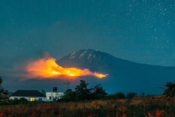 6 Days Mount Kilimanjaro Climbing via Rongai Route - Day 2: From Moorland to First Caves