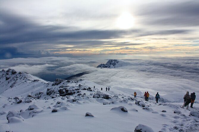 6 Days Mount Kilimanjaro Climbing via Rongai Route - Day 6: Descent and Celebration