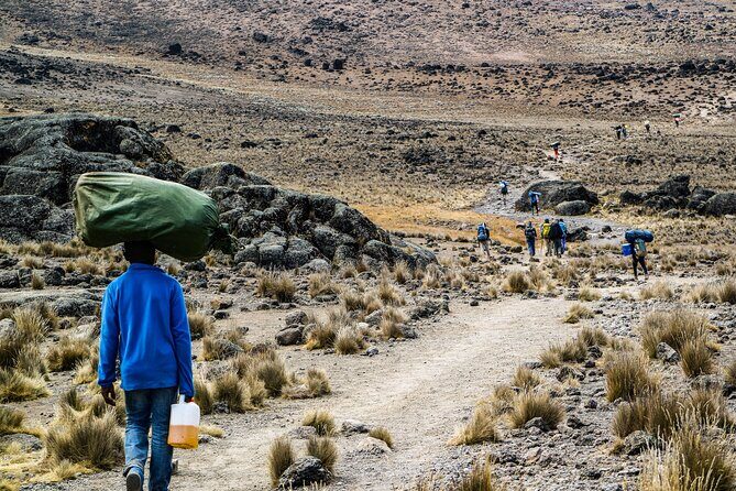 6 Days Mount Kilimanjaro Climbing via Rongai Route - Final Thoughts on Value and Experience