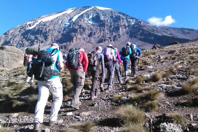 6 Days Mount Kilimanjaro Machame Route Climb - Key Points