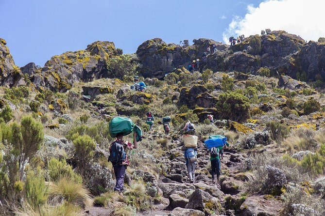 6 Days Mount Kilimanjaro Trek Marangu Route - The Sum Up