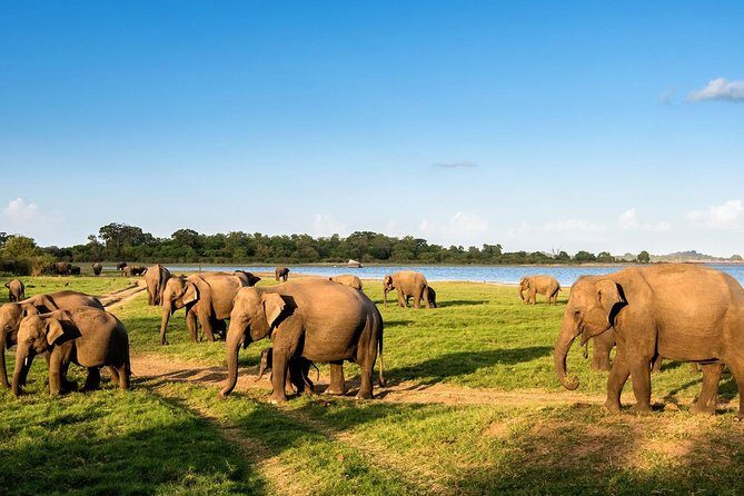 6 Days Nature And Culture Tour - The Value and Who Should Consider This Tour