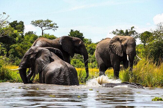 6-Days of Elephants, Wildebeest and Big 5: Kenyas Classic Safari - FAQ