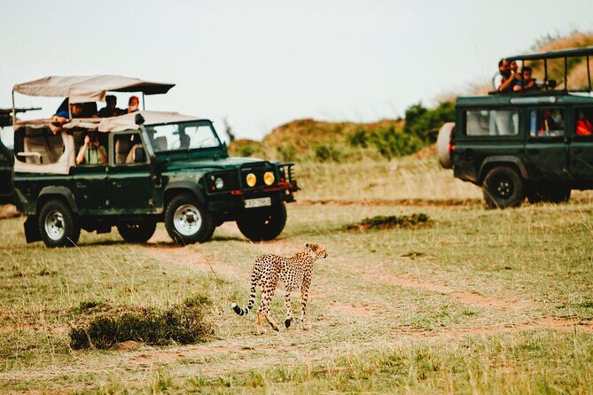 6 Days of Kenyan Wonders: Amboseli, Lake Nakuru, and Masai Mara - Authenticity and What’s Unique About This Tour
