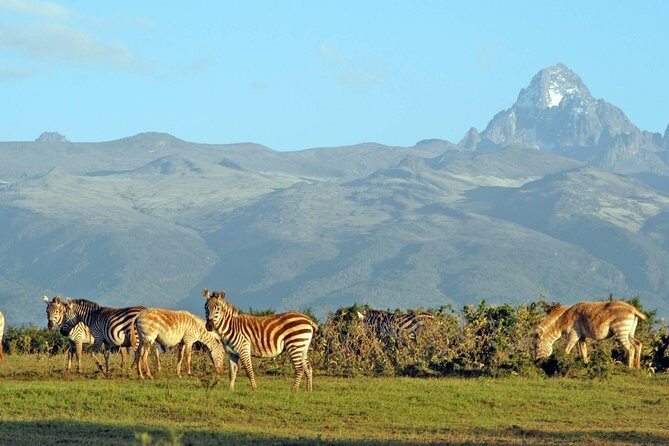 6 Days of Kenyan Wonders: Amboseli, Lake Nakuru, and Masai Mara - Final Thoughts