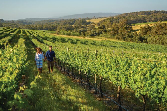 6 Days Perth All-Inclusive Touring Package - Authentic Experiences and Traveler Feedback