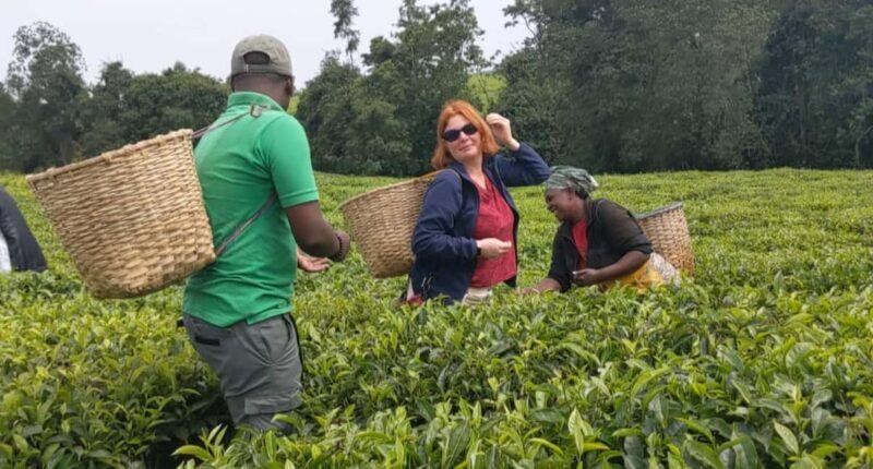 6 Days Primate Safari and lake kivu Adventure. - Who Will Enjoy This Tour?