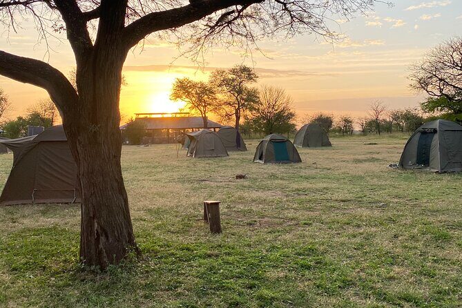 6 Days Private Budget Safari - Day 5: Ngorongoro Crater and Return to the Lodge