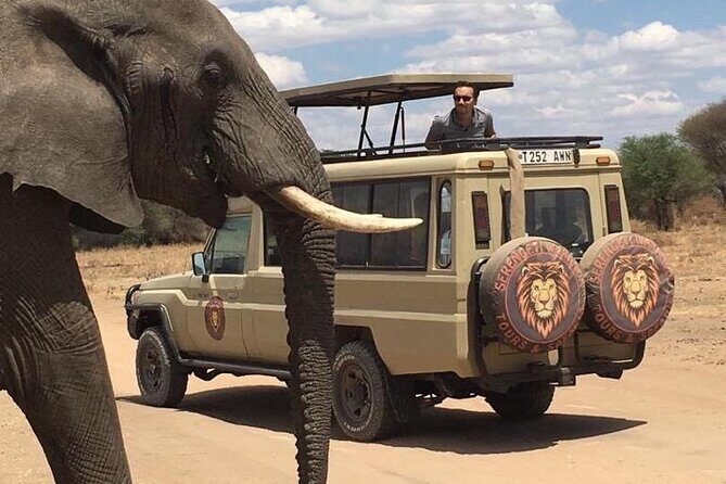 6 Days Private Budget Safari - Day 6: Final Stop at Lake Manyara