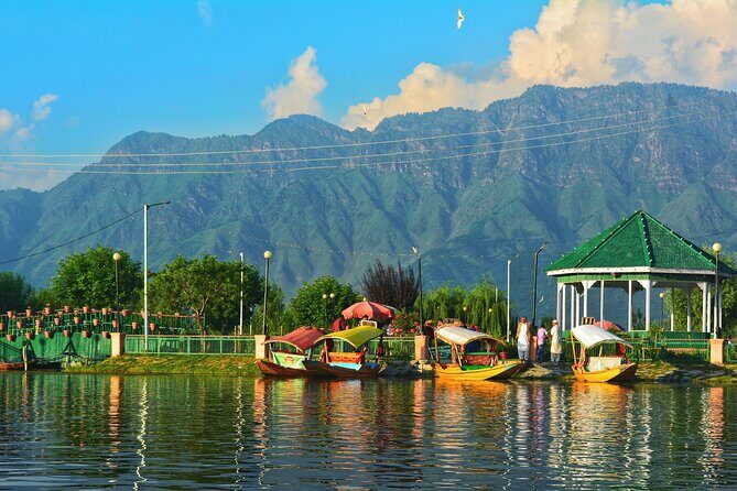 6 Days Private Guided Tour from Kashmir to Delhi - Key Points