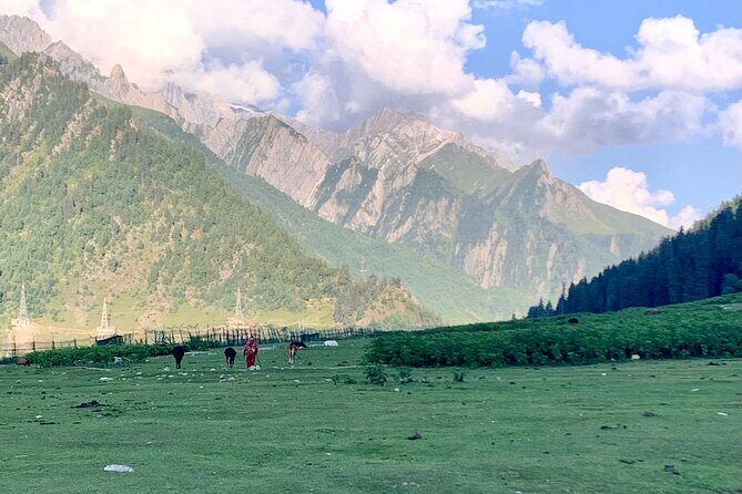6 Days Private Guided Tour from Kashmir to Delhi - An In-Depth Look at the Kashmir to Delhi Experience