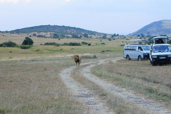 6 Days private safari package Kenya - Detailed Breakdown of the 6-Day Safari Experience